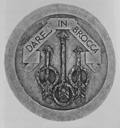 Maglietta "Dare in brocca"